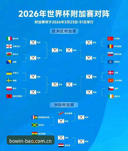 2026世界杯观赛签证难题全攻略——宝威体育平台深度解读
