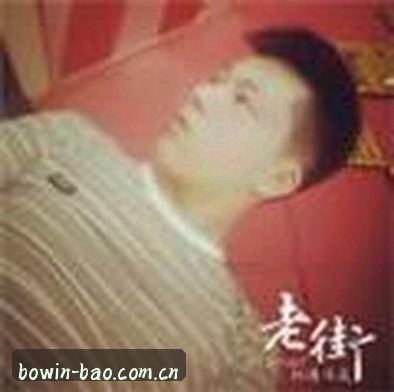 赵磊